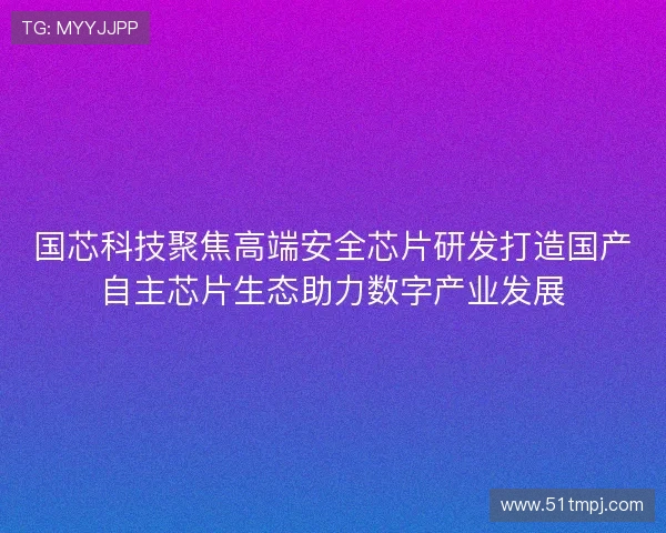 国芯科技聚焦高端安全芯片研发打造国产自主芯片生态助力数字产业发展